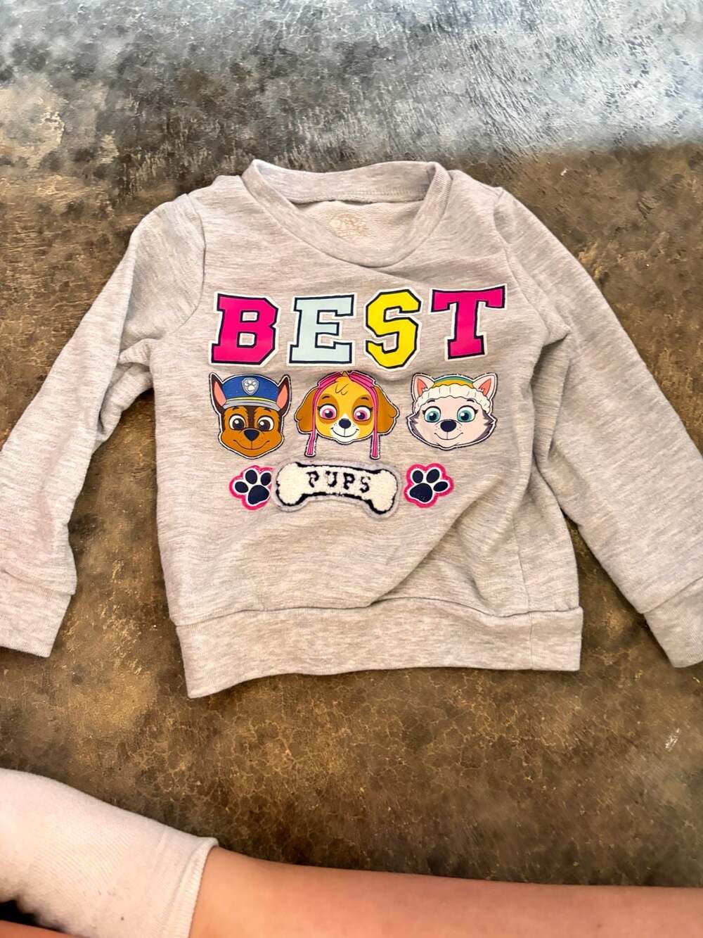Paw Patrol Nickelodeon Best Pups Graphic Long Sleeve Fleece Sweatshirt Gray